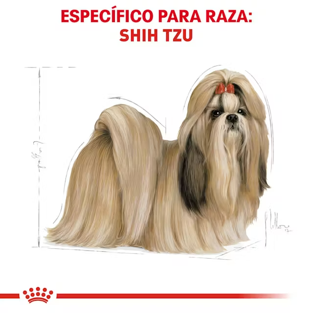 Royal Canin Shih Tzu Adulto Royal Canin Shih Tzu Adulto